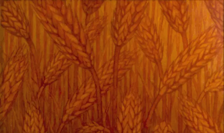 Blé rouge, 1985